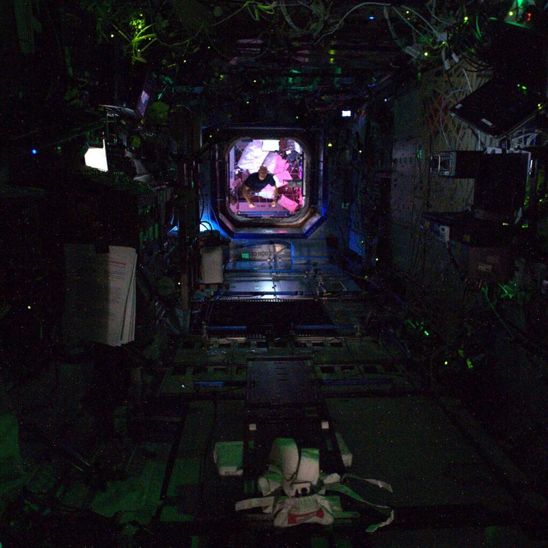 Illustration for article titled This photo of the ISS looks like a scene from a space horror movie
